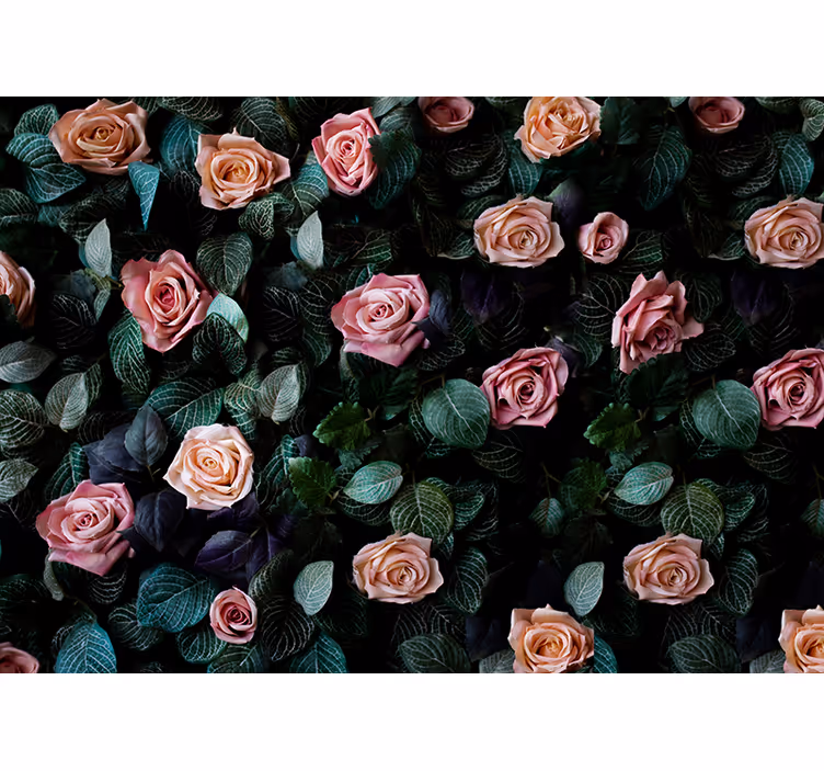 Rullegardin kjøkken i rosa korallroser - Tenstickers