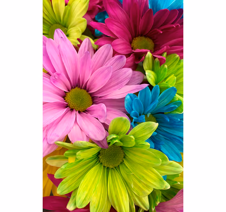 Rullegardin stue fargerike blomster - Tenstickers