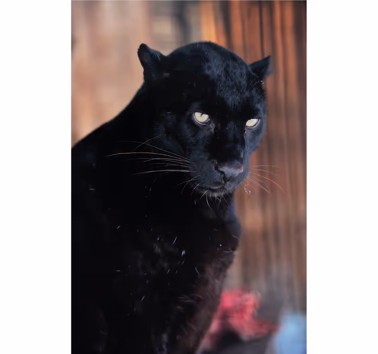 Rullegardin stue leopardjakt - Tenstickers