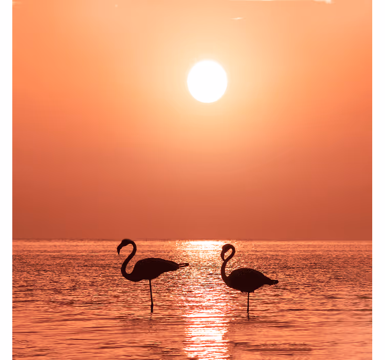 Rullegardin stue flott flamingo med solnedgang - Tenstickers