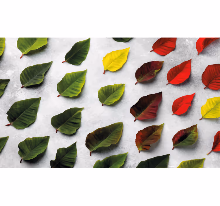 Rullegardin stue sett ovenfra fargerike blader - Tenstickers