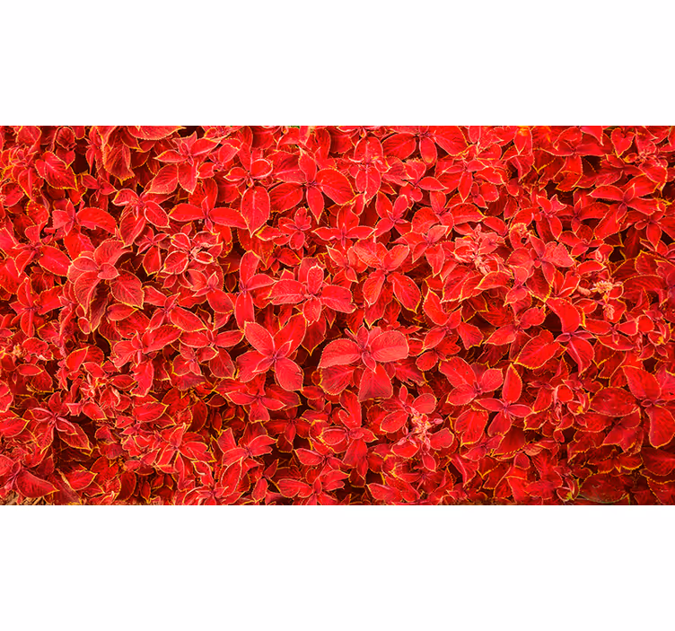 Rullegardin rød blomstermønster - Tenstickers