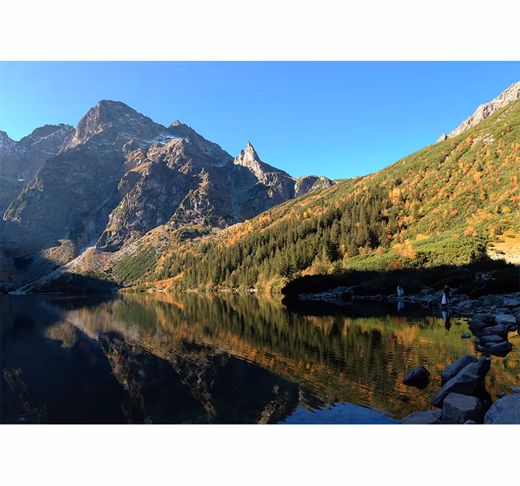 Rullegardin grønn morskie oko om våren - Tenstickers
