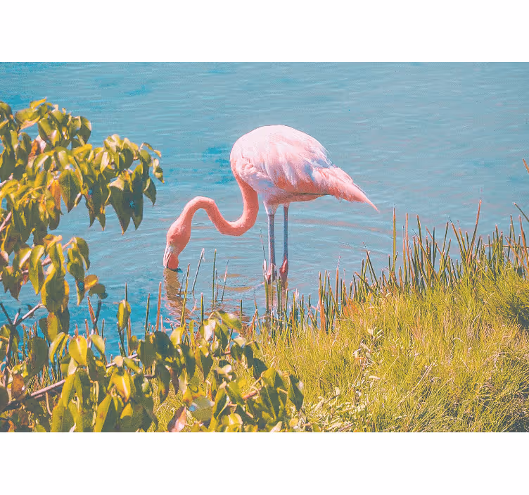 Rullegardin stue vakker flamingo ved vannet - Tenstickers