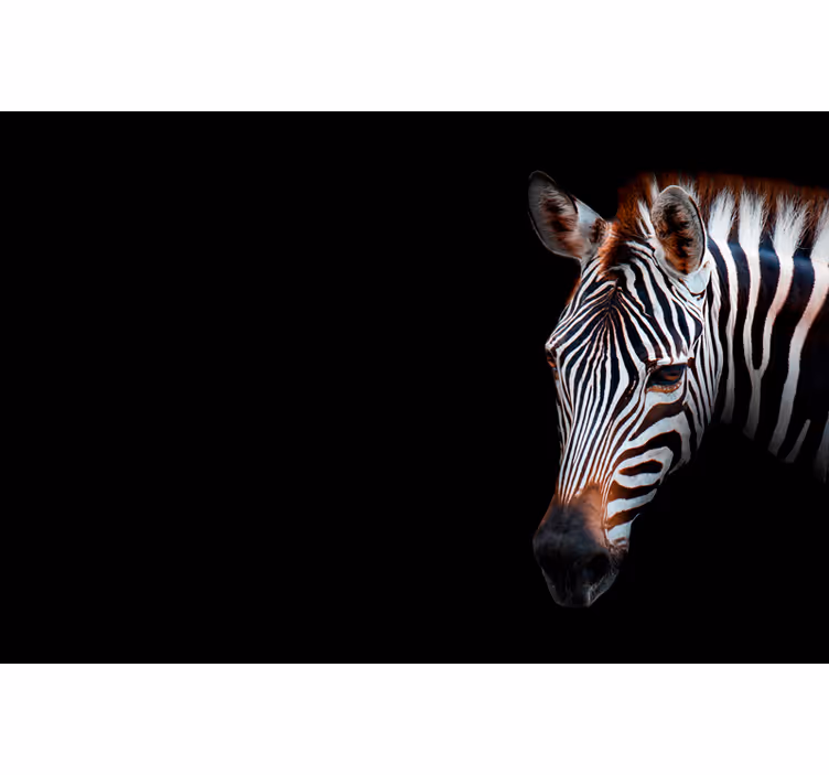 Rullegardin stue zebra bilde - Tenstickers
