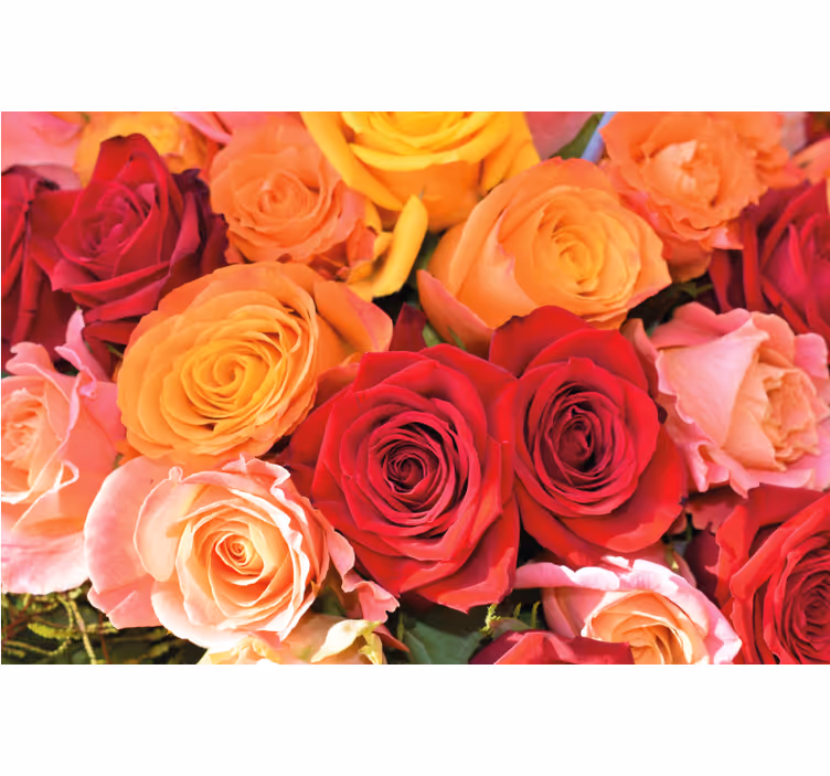 Roser ulike blomster rullegardin stue - Tenstickers