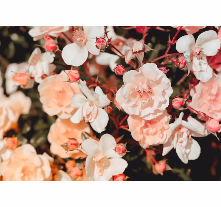 Massevis av blomster rullegardin stue - Tenstickers