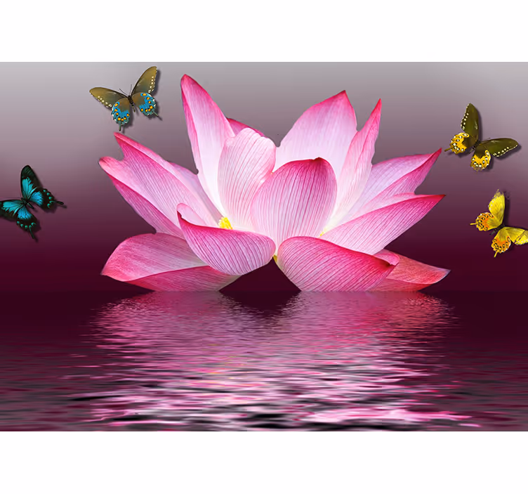 Rullegardin stue rosa lotusblomst med sommerfugler - Tenstickers