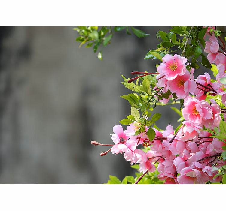 Rullegardin stue rosa blomster 3d - Tenstickers