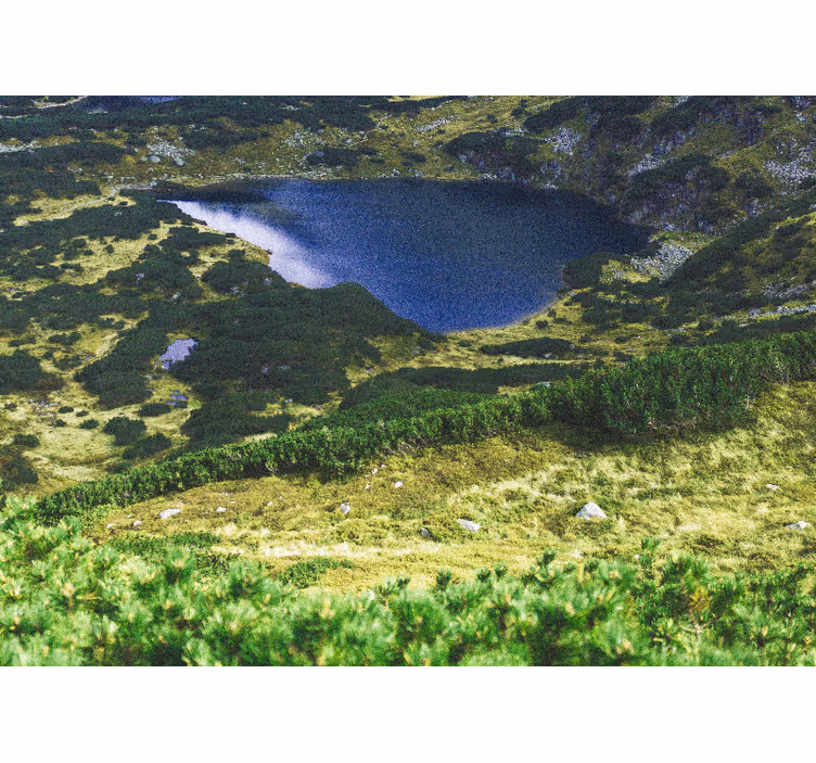 Rullegardin stue green polske tatry - Tenstickers