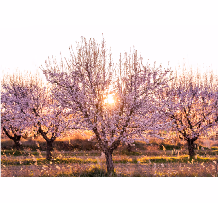 Rullegardin stue rosa landskap med blomster - Tenstickers