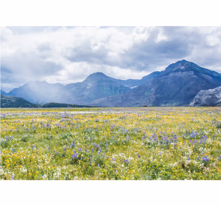 Rullegardin stue små blomstereng - Tenstickers