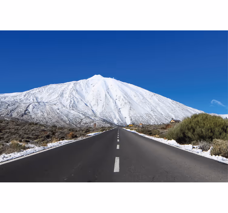 Rullegardin stue vei til teide - Tenstickers