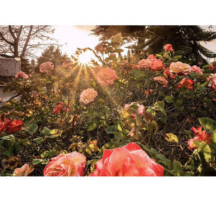 Rullegardin stue blomsterdesign kveldstemning - Tenstickers