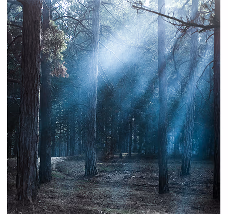 Rullegardin stue naturdusk i skogen - Tenstickers