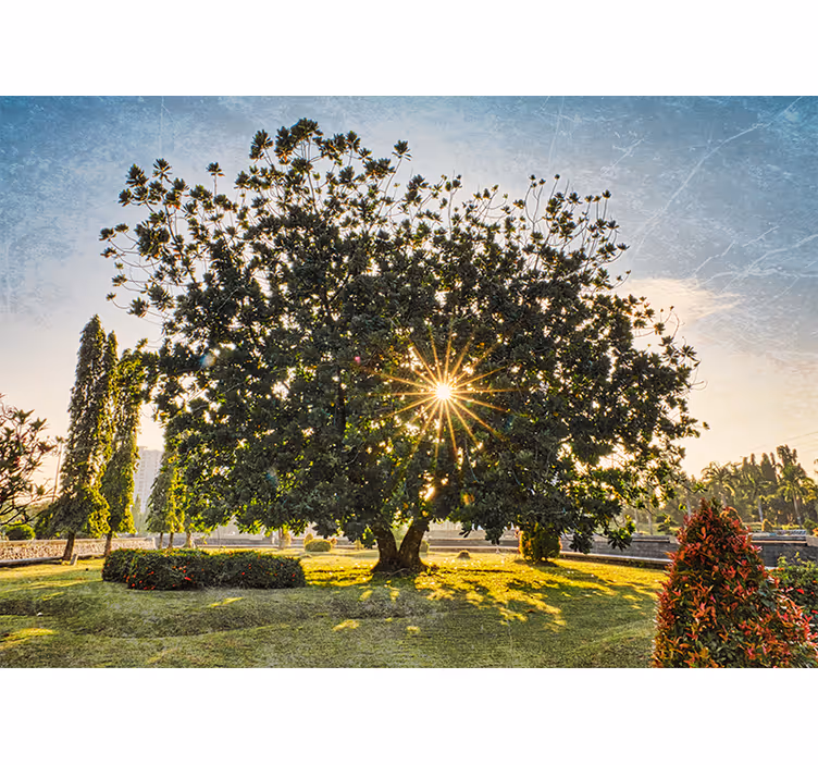 Rullegardin stue solfylt sommergrønn park - Tenstickers