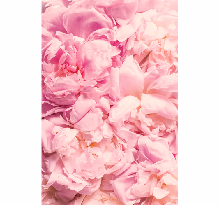 Rullegardin rom realistiske rosa peoner - Tenstickers