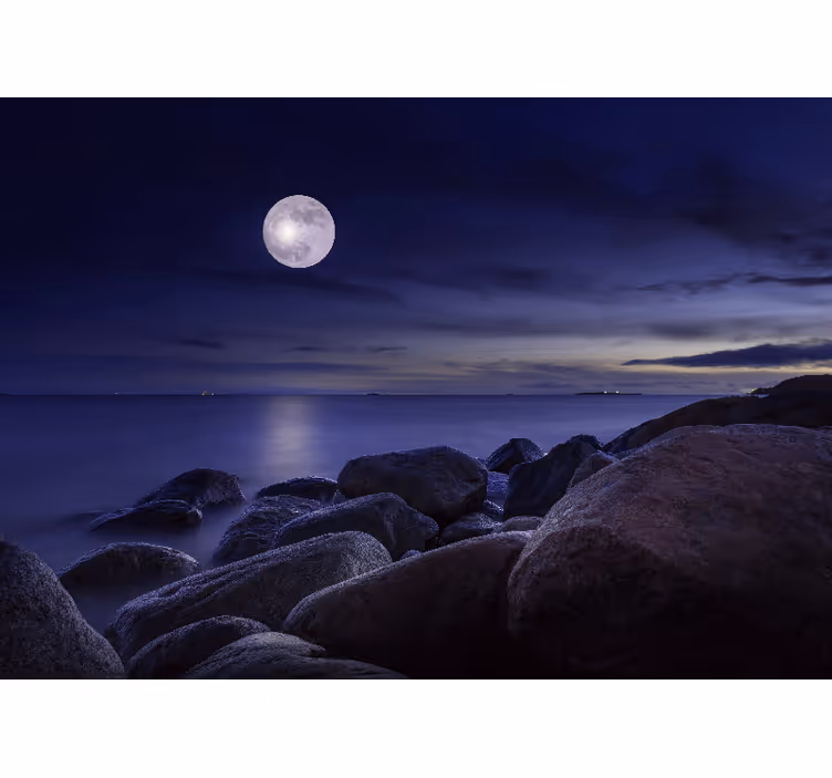 Rullegardin rom originalt landskap med måneskinn - Tenstickers