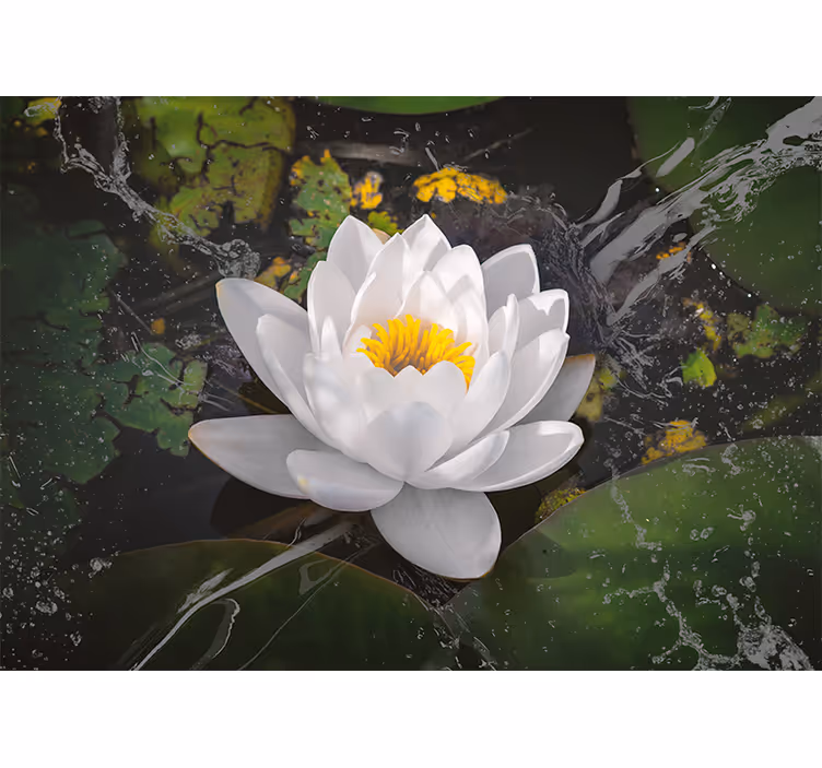 Rullegardin rom hvit og gul lotus - Tenstickers