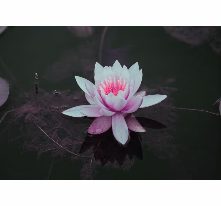 Rullegardin rom rosa vintage loto - Tenstickers