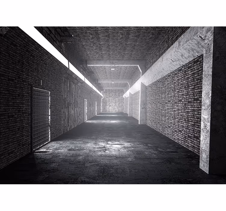 Rullegardin rom 3d murtunnel - Tenstickers