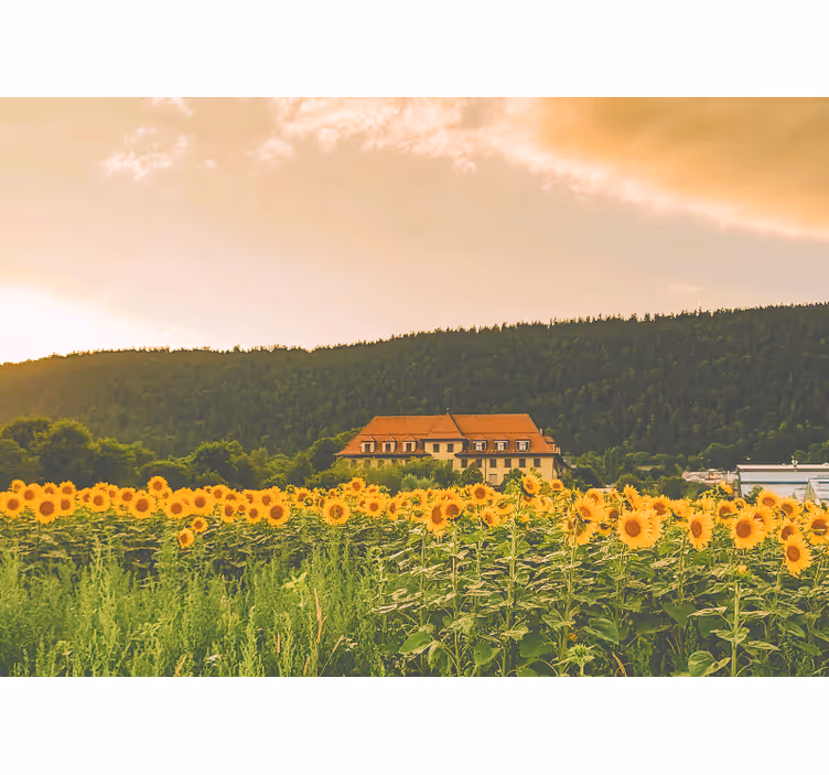 Rullegardin rom vakker eng med gule blomster - Tenstickers