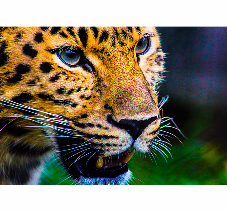 Rullegardin rom leopardansikt - Tenstickers