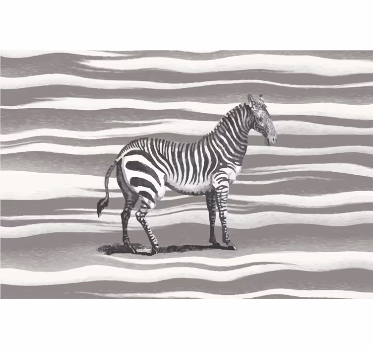 Rullegardin grå vintage zebra illustrasjon - Tenstickers