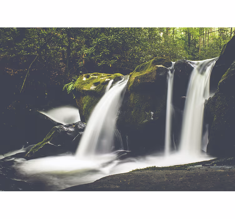 Rullegardin rom skog natur foss - Tenstickers
