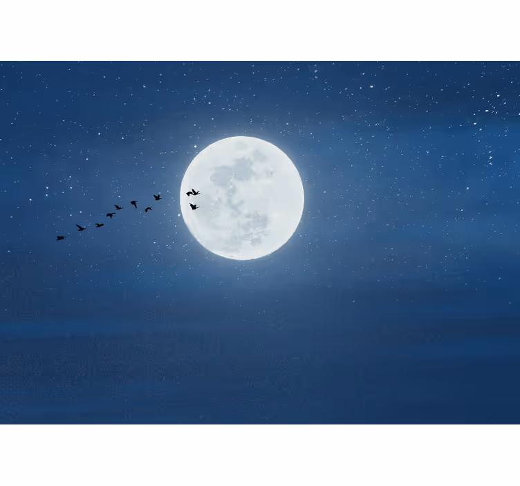 Rullegardin stue fullmåne og himmel - Tenstickers