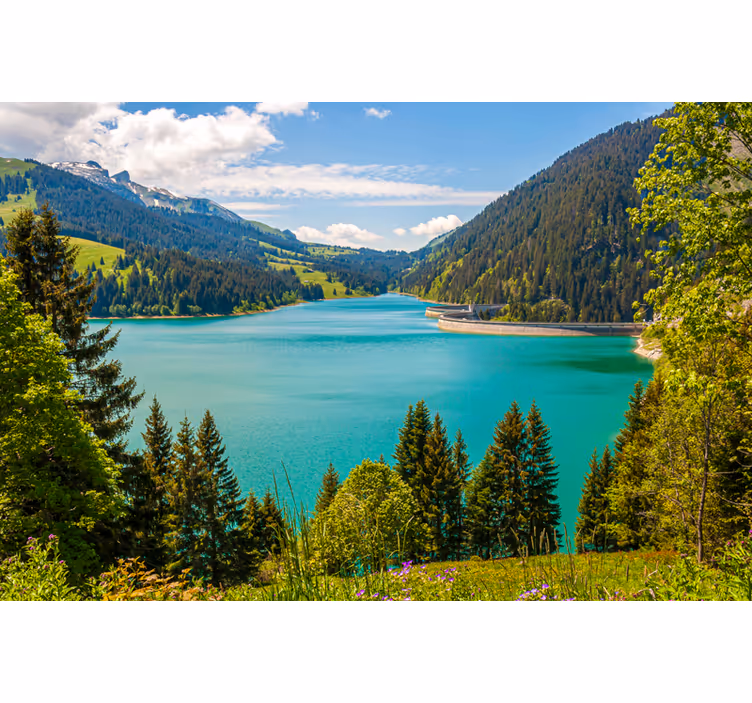 Rullegardin stue lago longrin - Tenstickers