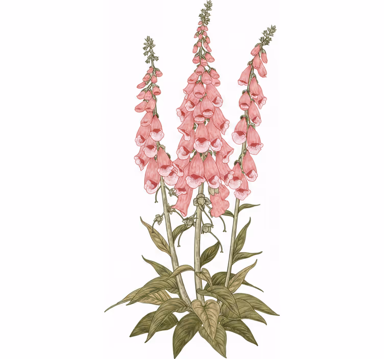 Rullegardin stue rosa blomster - Tenstickers