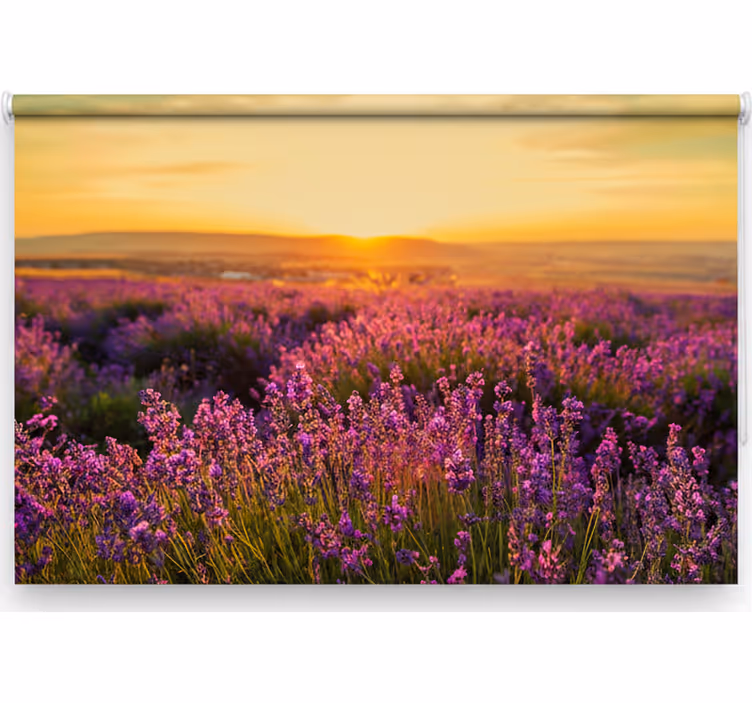Rullegardin rom panoramisk provence - Tenstickers
