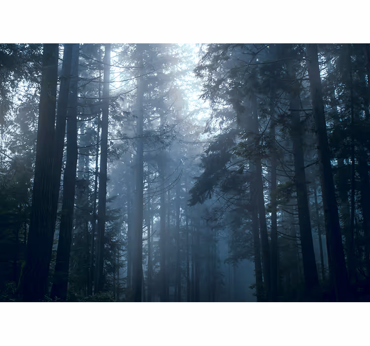 Rullegardin rom treetåke i skogen - Tenstickers