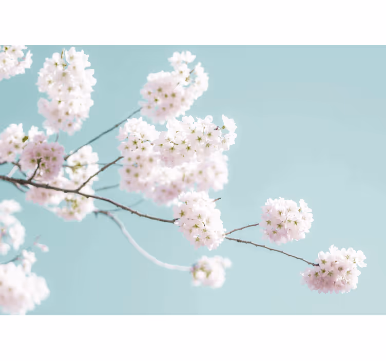 Hvit rullegardin med elegant og feminin blomsterdesign - Tenstickers
