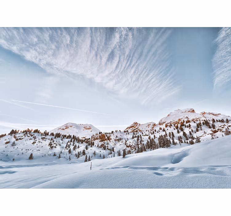 Hvit rullegardin snødekte fjell - Tenstickers