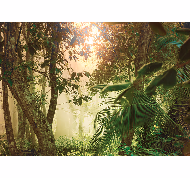 Rullegardin rom amazonas liv - Tenstickers