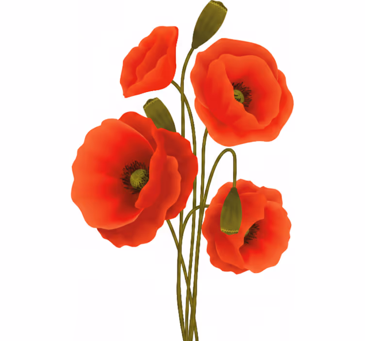 Poppy blomster rullegardin - Tenstickers