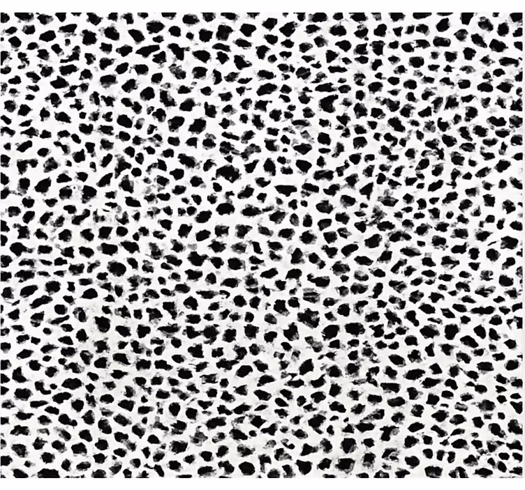 Svart rullegardin i monokrom leopardmønster - Tenstickers