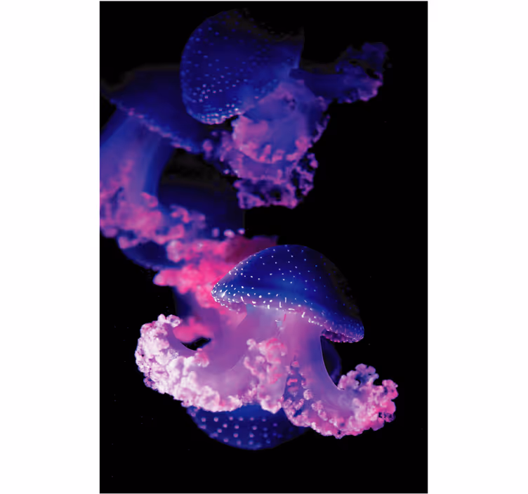 Rullegardin bad lilla manet - Tenstickers