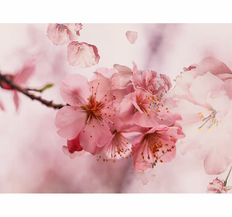 Rullegardin bad blomsterdesign - Tenstickers