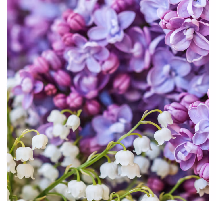 Rullegardin kontor fire sesongs tusenfryd blomster - Tenstickers