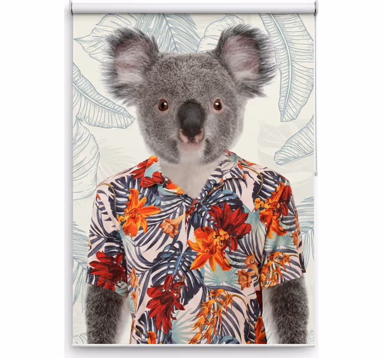 Rullegardin ungdom elegant koala - Tenstickers