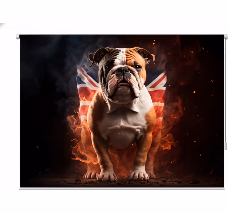 Rullegardin ungdom britisk bulldog i brann - Tenstickers