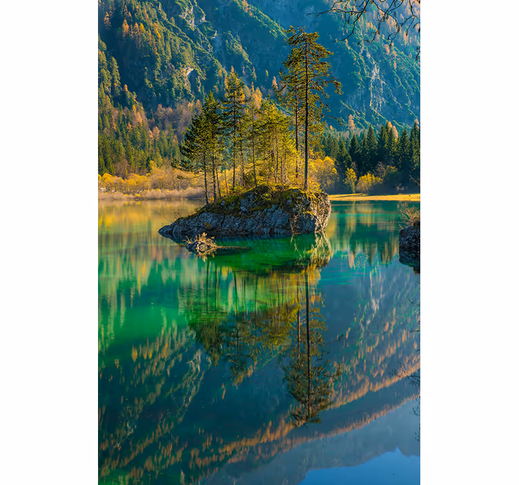 Reflektert tre natur rullegardiner - Tenstickers
