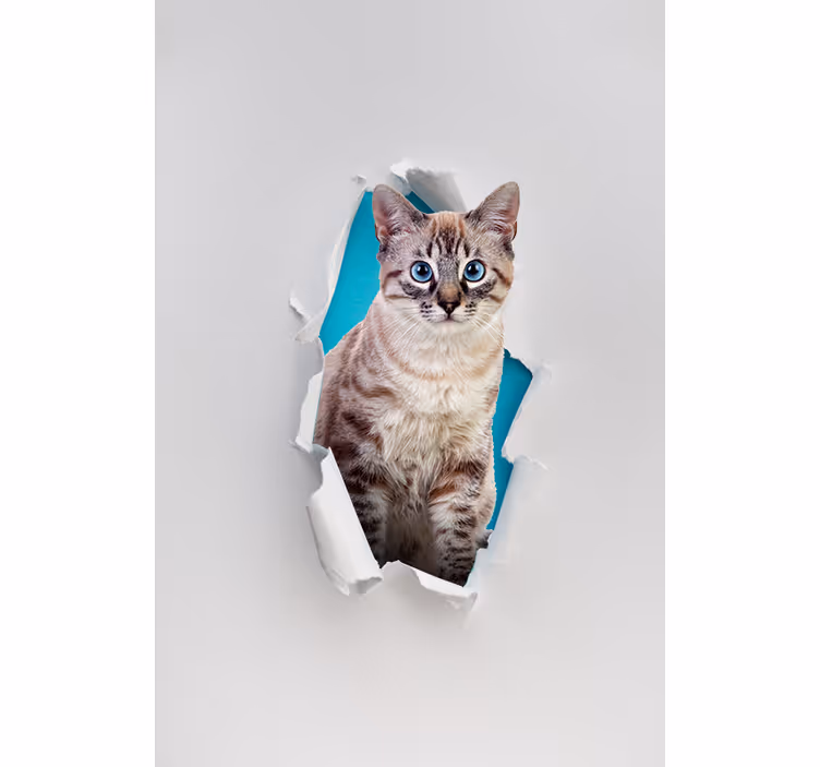 Katt diverse dyr rullegardin - Tenstickers