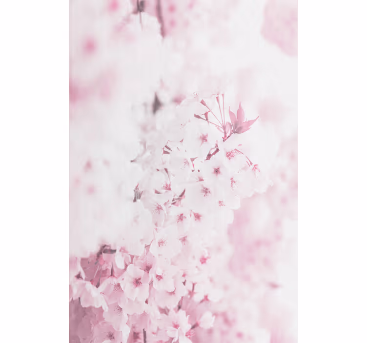 Lys rosa blomst bakgrunn blomst rullegardin - Tenstickers