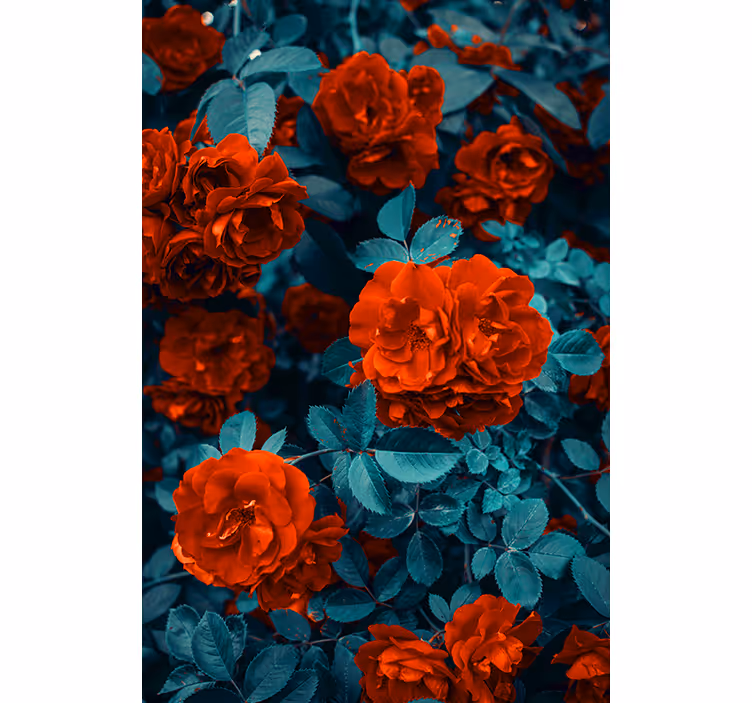Levende blomstrende roser rullegardin blomster - Tenstickers