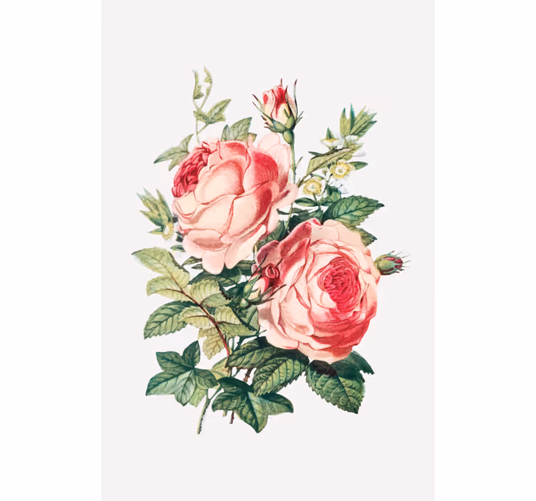 Unik rose elegant design blomsterRullegardin - Tenstickers