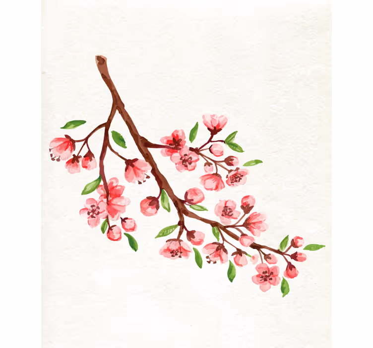 Akvarell rosa kirsebærblomster blomst rullegardin - Tenstickers